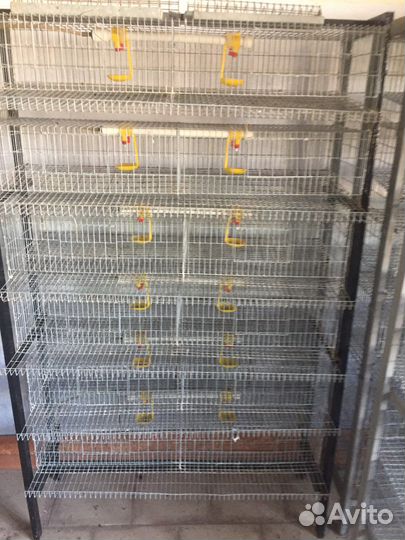 Клетки для перепелов