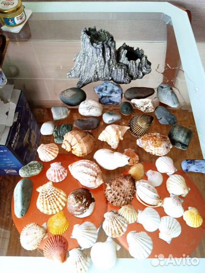 Для Аквариума