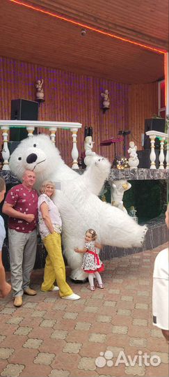 Белый мишка