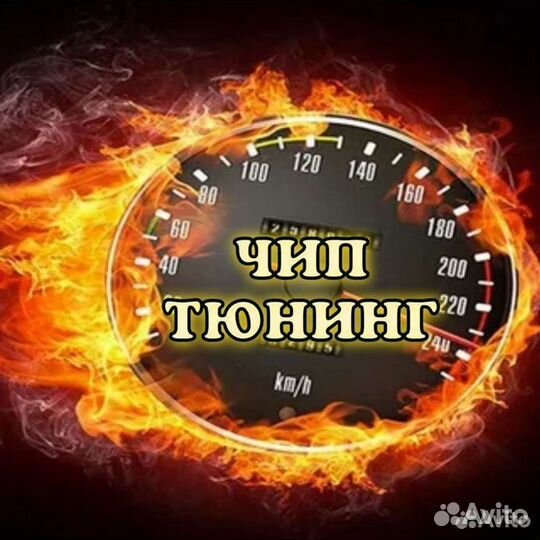 Чиптюнинг :легковые, грузовые, спецтехника, мото