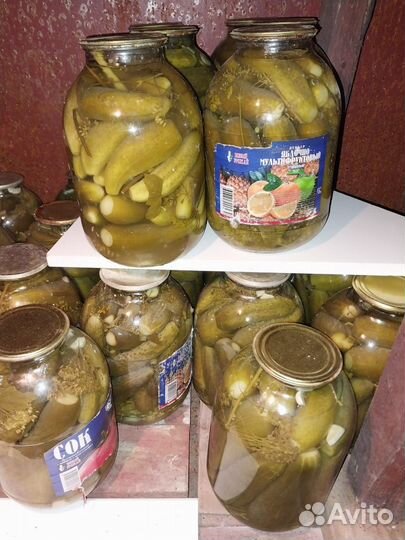 Огурцы соленые, тыква, чеснок