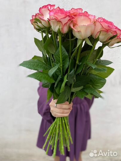 25 роз джумилия