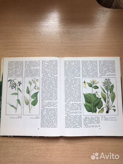 Детские энциклопедии