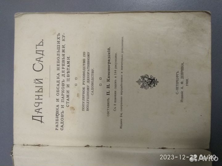 Дачный сад. П.И.Каменоградский. 1908 год