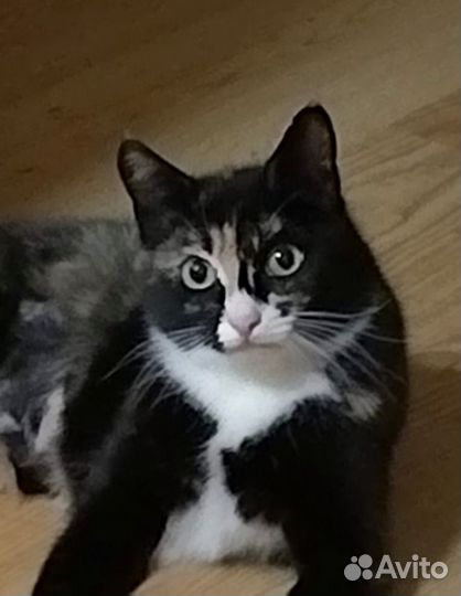 Подарите дом