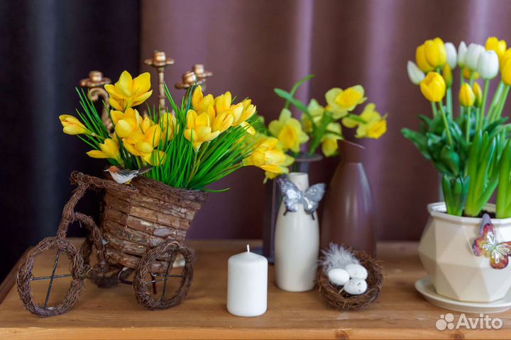 Аренда фотостудии Clever Клевер г. Казань