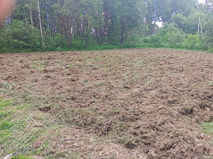 Участок 10 сот. (СНТ, ДНП)