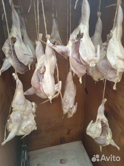 Перепела копченые