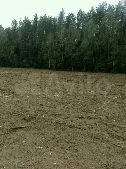 Участок 28 сот. (СНТ, ДНП)