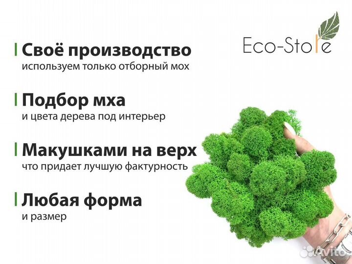 Название компании из мха пластиковая рамка