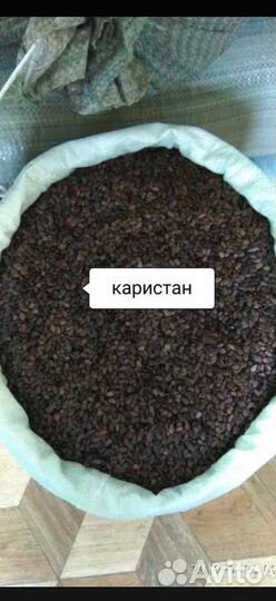 Семена арбуза Каристан. Атаман. Барака. Продюсер