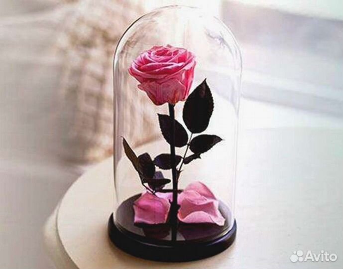 Роза в колбе
