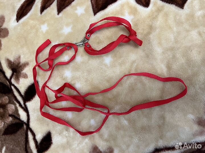 Шлейки для кошки,хорька,кролика