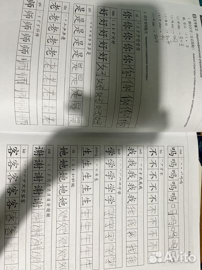 Курс китайского языка Ступень I учебник, тетрадь