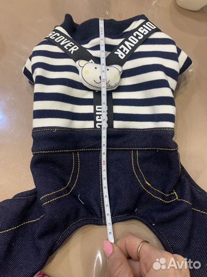 Одежда для маленьких собак