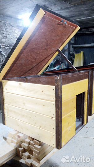 Собачья будка