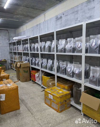 Китайский чай из Азии оптом