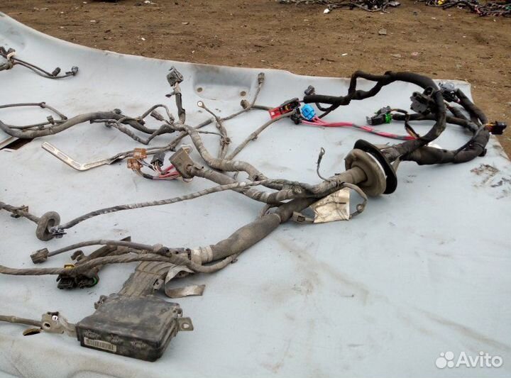 Проводка двигателя Renault Megane 3 купе M4RF713