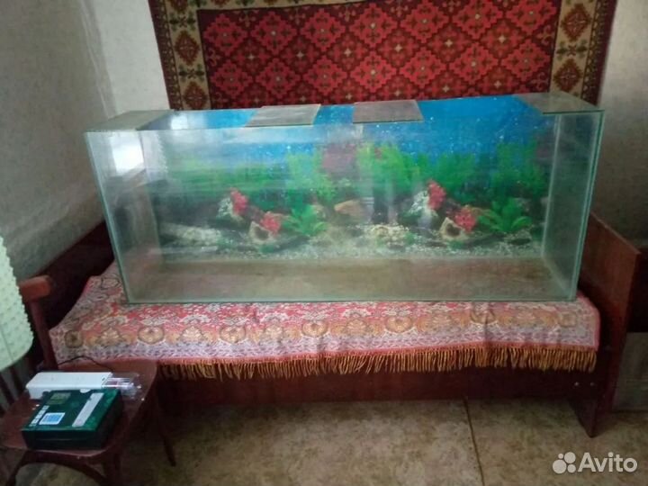 Аквариум