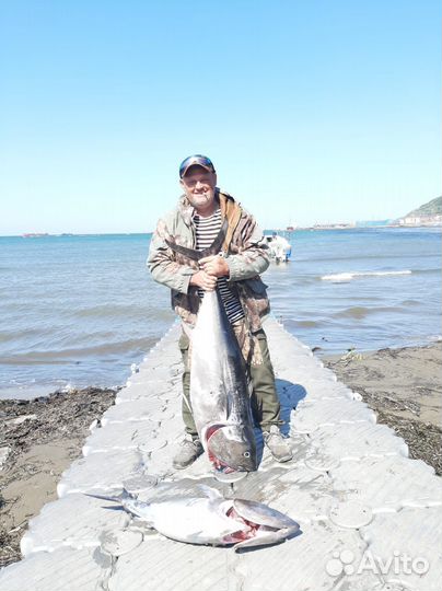 Морская рыбалка на Тунца