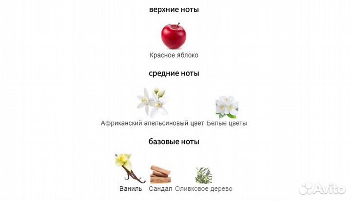 Hugo Boss - Orange Woman