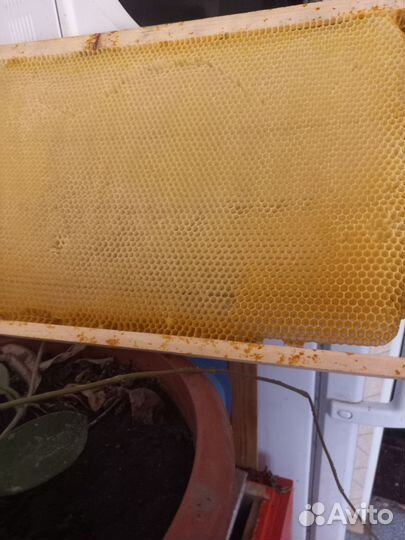 Рамки для ульев