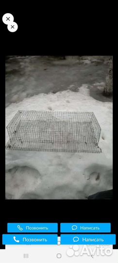 Клетки для перепелов