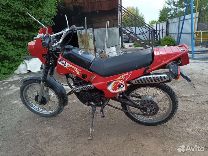 Зид пилот 50