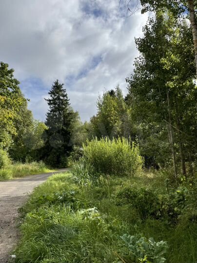 Участок 12 сот. (ИЖС)