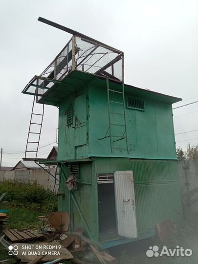 Голубятня продажа