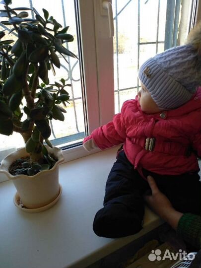 Зимний комбинезон для девочки