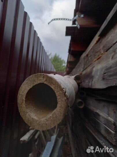 Ствол бамбука