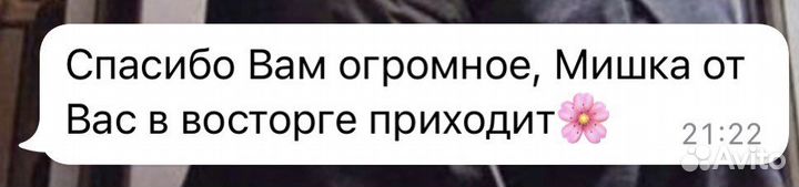 Подготовка к школе + репетитор начальной школы