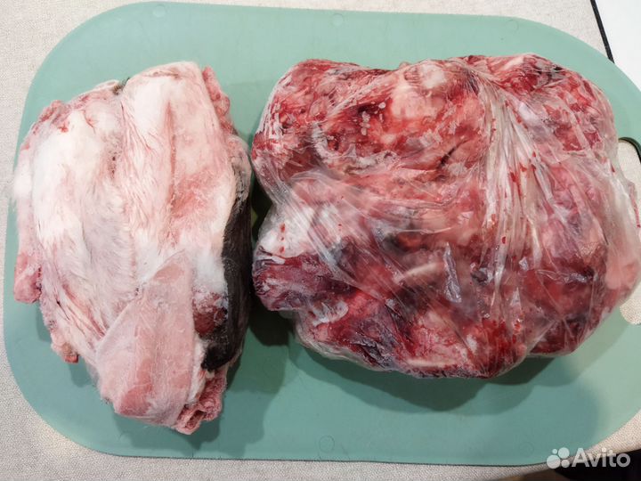 Корм для собак