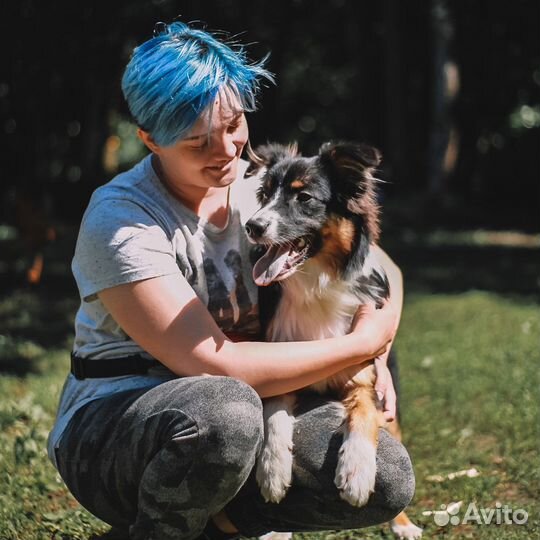 Кинолог. Выездное индивидуальное занятие