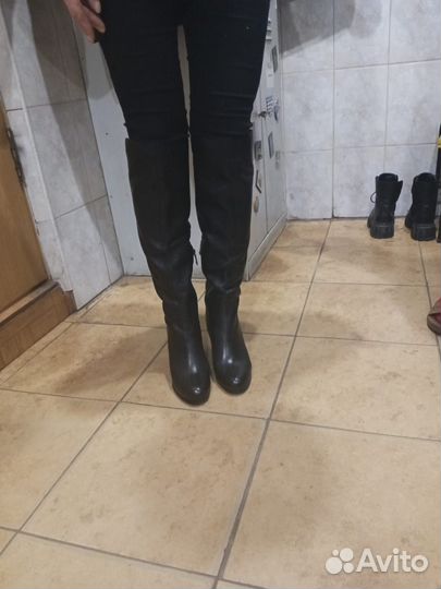Сапоги женские осенние