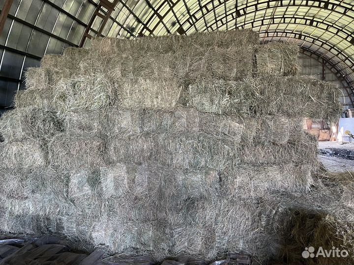 Сено в тюках