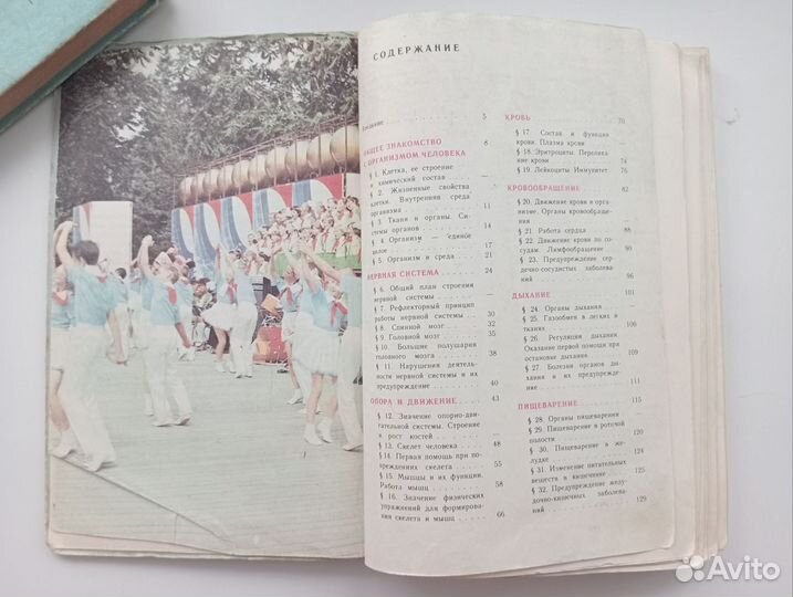 Биология 9 класс Цузмер