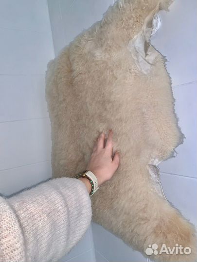 Овечья шкура большая натуральная