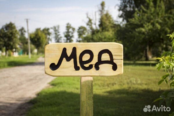 Мёд Алтай за литр