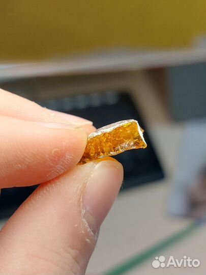 Янтарь с инклюзом