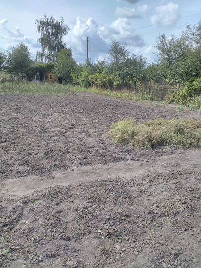 Участок 10 сот. (СНТ, ДНП)