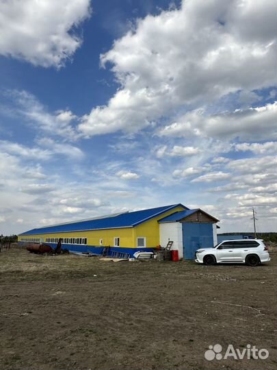 Ферма Коровник