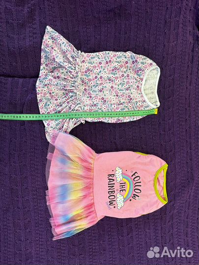 Одежда для собаки