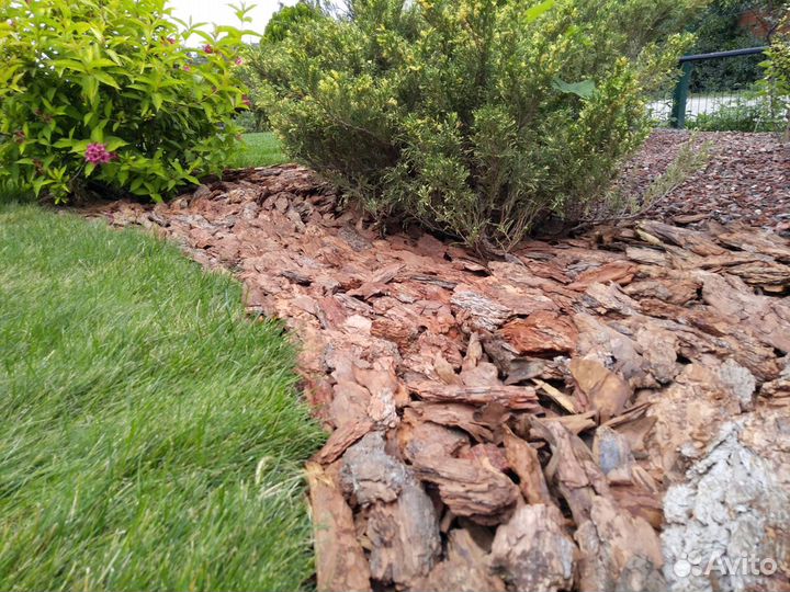 Кора, мульча Сосны: 