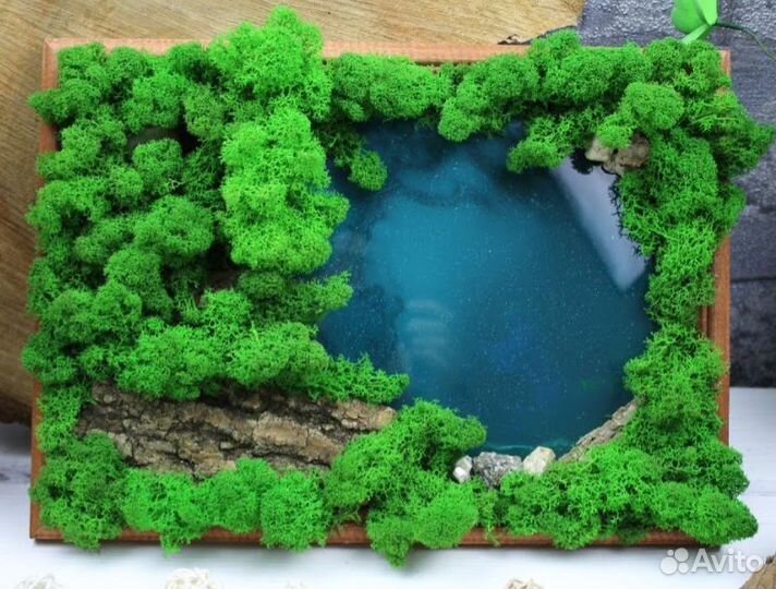 Эко картины из мха и других природных материалов