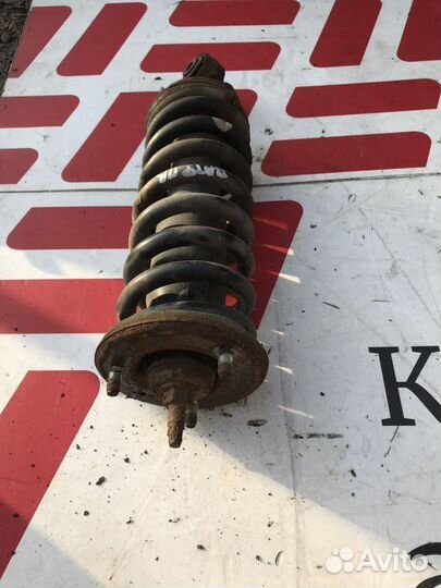 Амортизатор передний Nissan Pathfinder III (2004—2