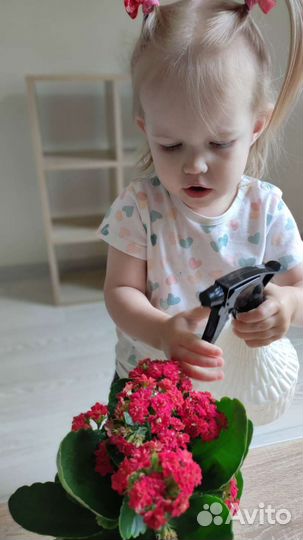 Частный детский сад