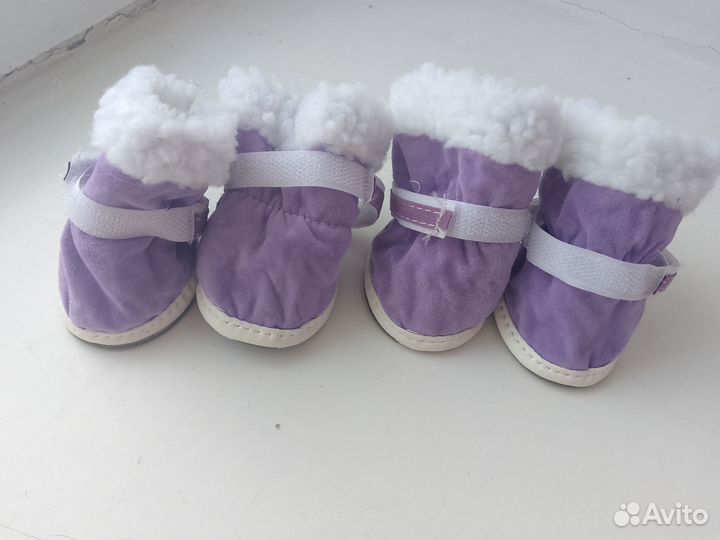 Ботинки для собак