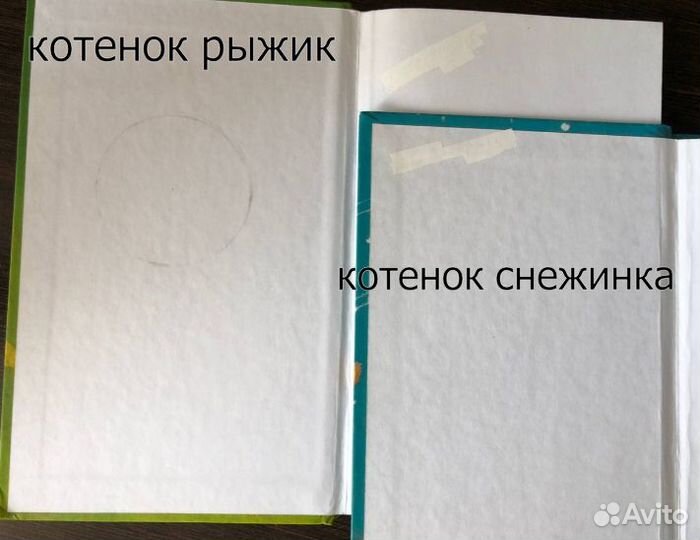 Детские книги Холли вебб